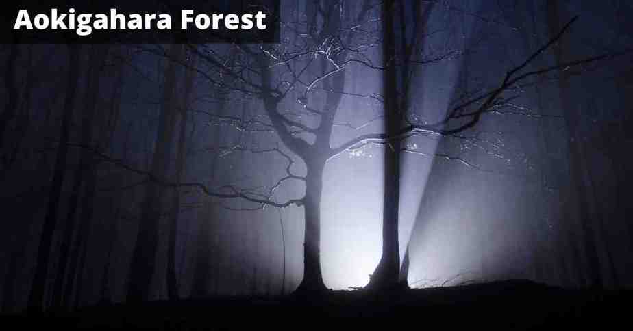 Aokigahara Haunted Suicide Forest Horror Story Hindi
